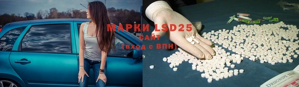 PSILOCYBIN Армянск