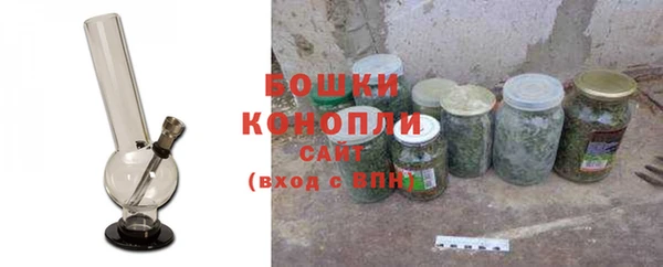 PSILOCYBIN Армянск