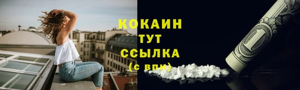 PSILOCYBIN Армянск