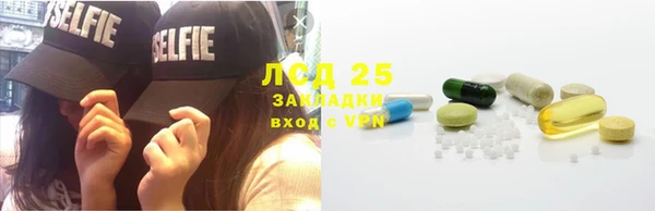 PSILOCYBIN Армянск