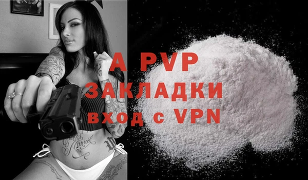 PSILOCYBIN Армянск