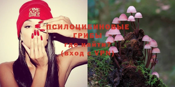 PSILOCYBIN Армянск
