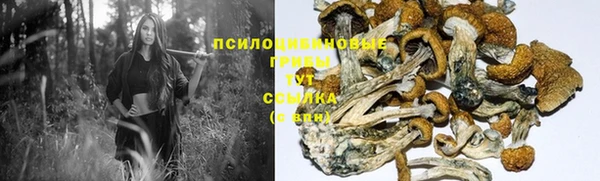 герыч Арсеньев
